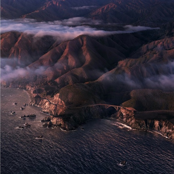 Meet your Posher, Laila - Picture 1 of 1